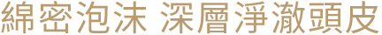 綿密泡沫 深層淨澈頭皮