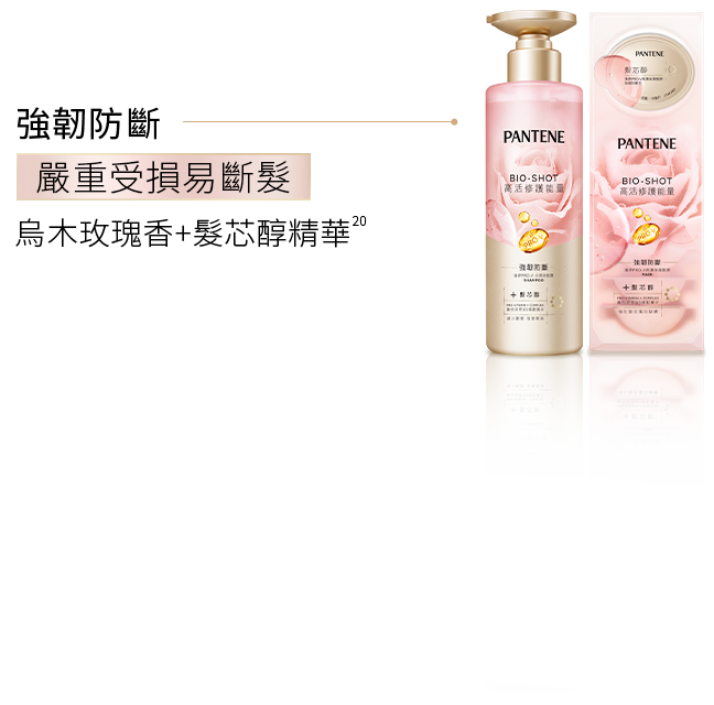 嚴重受損易斷髮